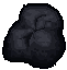 Participant
