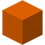 Participant