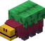Participant